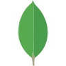 skill logo